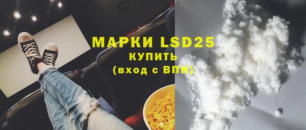 шишки Беломорск
