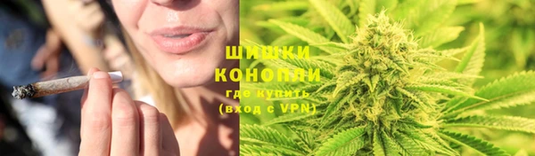 мяу мяу мука Белокуриха