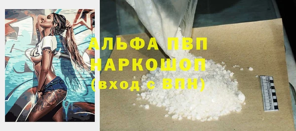 шишки Беломорск